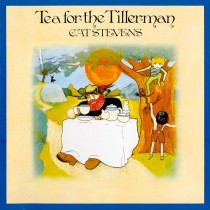 She Sins_ Vinyl Wednesday_ Cat Stevens - Tea for the Tillerman